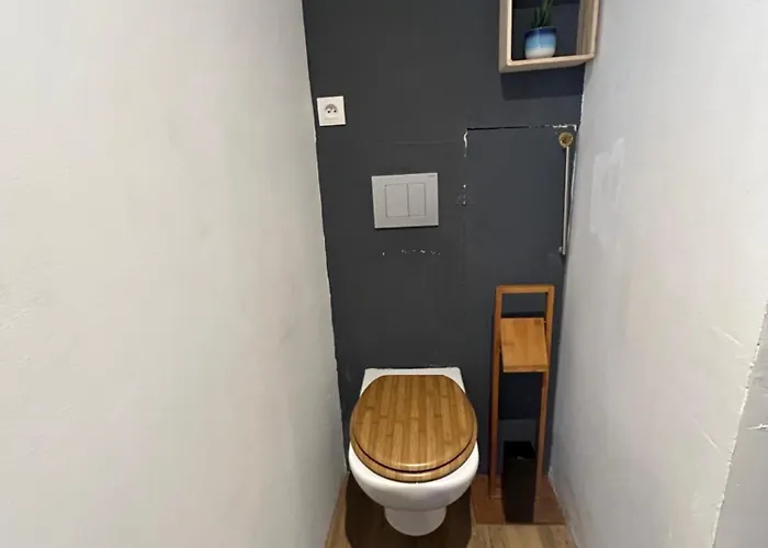 Le Reve Divin T3 Hypercentre * ルルド